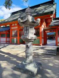 博多神社一日遊：祈福與文化的交織之旅⛩️✨