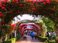 Jungnang Rose Park Rose Festival Review
