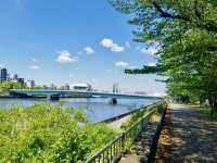 城市與河流的低語