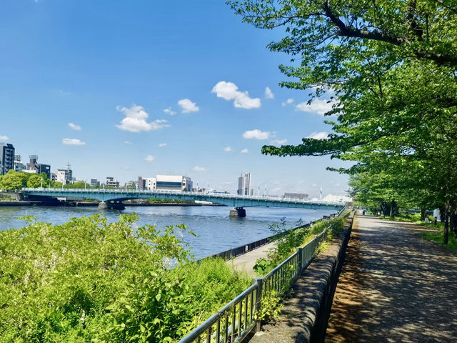 城市與河流的低語