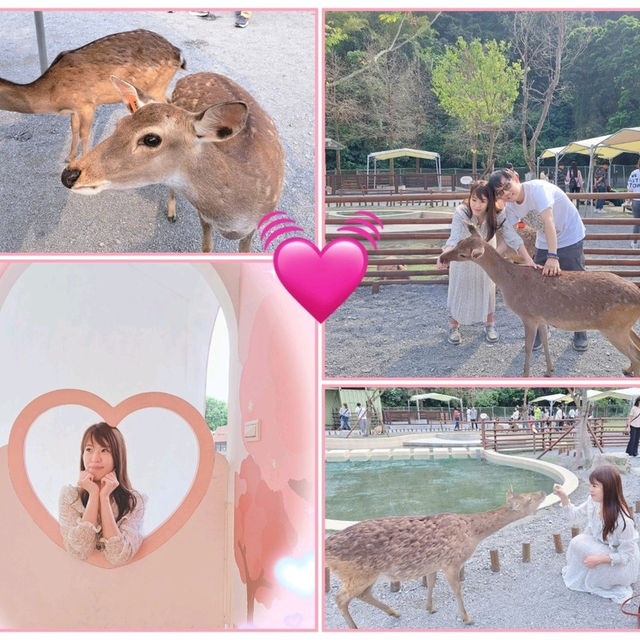 斑比山丘⛰️小鹿斑比的Wonderland🦌