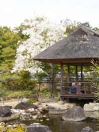 【兵庫×春旅】  