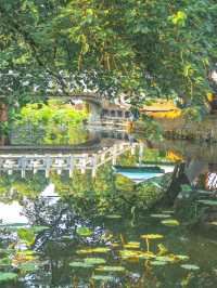 Chill by the Lake in Chengdu