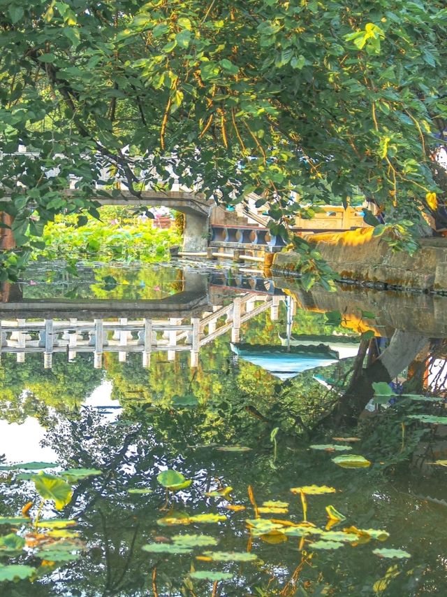 Chill by the Lake in Chengdu