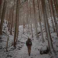 熊野古道｜被雪覆蓋的大雲取越