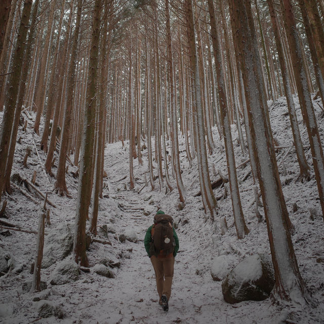 熊野古道｜被雪覆蓋的大雲取越