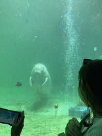 とても楽しい水族館