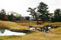 A Quaint, Warm and Welcoming Guesthouse Tamura in Nara