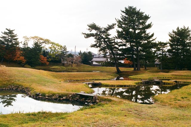 A Quaint, Warm and Welcoming Guesthouse Tamura in Nara