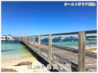 【オーストラリア西部】動物界のアイドル‼︎クォッカに会える唯一の島＊ロットネスト島＊
