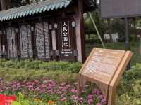 A Taste of Chengdu's Leisure Culture at People's Park