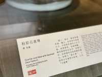 A Masterpiece of Light and Geometry: Our Visit to Suzhou Museum