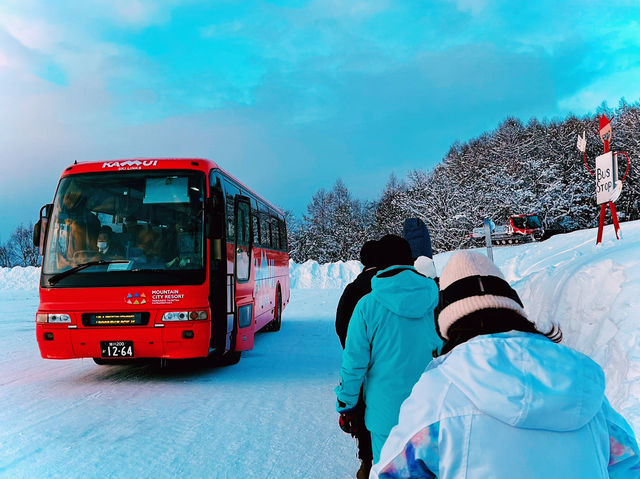 【極上パウダー】コスパ最強！カムイスキーリンクスで大満足❄️