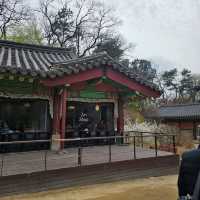 [安国🇰🇷ソウル]景福宮よりも穴場⭕朝鮮王朝の宮殿[昌徳宮 창덕궁]