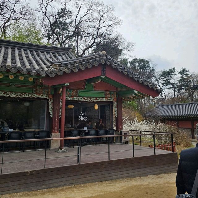 [安国🇰🇷ソウル]景福宮よりも穴場⭕朝鮮王朝の宮殿[昌徳宮 창덕궁]