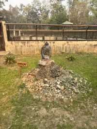 Crocodile breeding centre 