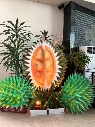 The Apo View Hotel Davao