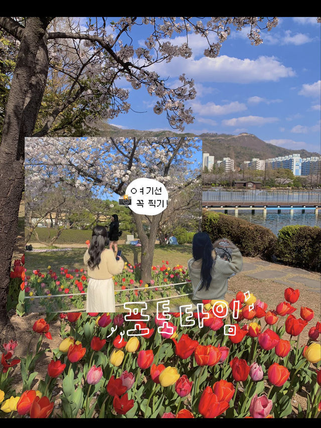 김해연지공원 다녀왔습니다🎶