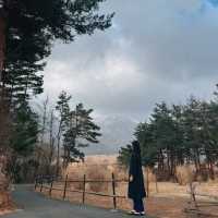 유후인 쿠오리테이 료칸 후기 – 객실 온천과 미슐랭 가이세키 포함
