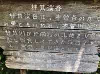 柿其渓谷で癒しのひととき🍃✨