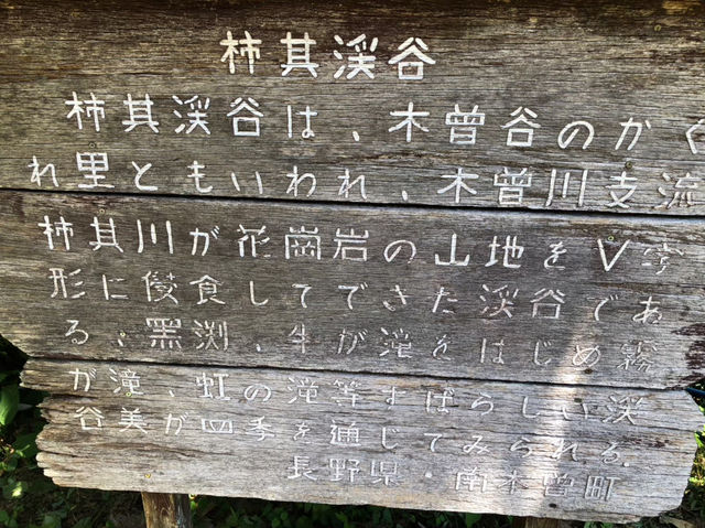 柿其渓谷で癒しのひととき🍃✨