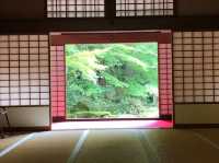 苔と花の楽園。京都・三千院で心ほどけるひとときを…🌿⛩️