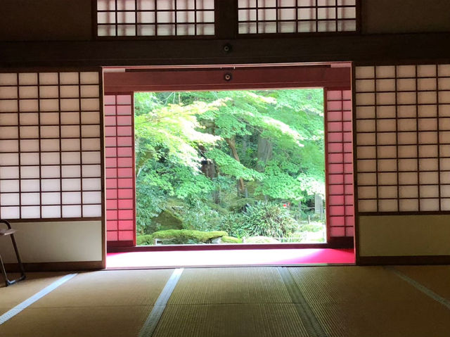 苔と花の楽園。京都・三千院で心ほどけるひとときを…🌿⛩️