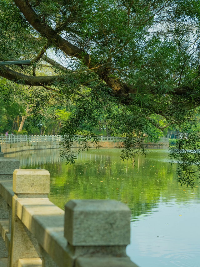 感受濃厚的文化氛圍🥰深圳行程攻略❤️‍🔥