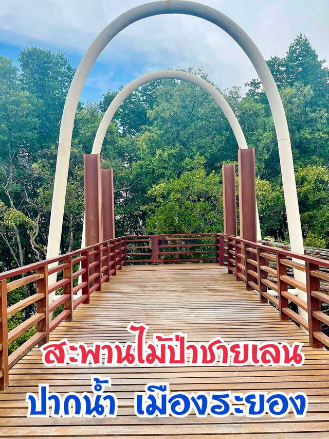 สะพานไม้ยาวที่สุดในระยอง