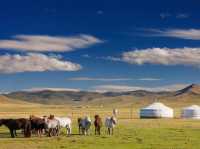 Mongolian steppe