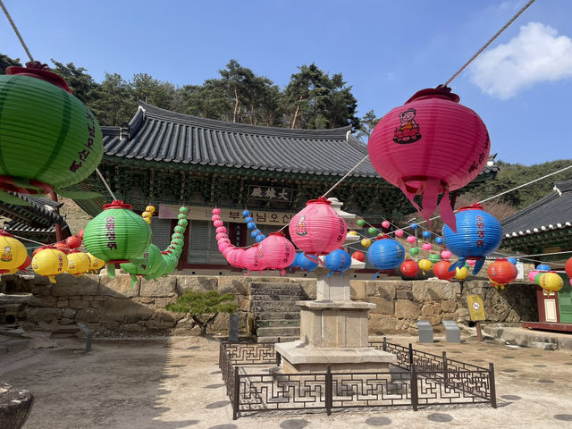 곧 다가오는 겹벚꽃 시즌에 딱 좋은 데이트코스 환성사