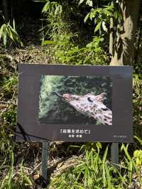 福岡｜福岡市動植物園｜拍照打卡好去處