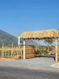 Wish Coffee in Tay Ninh