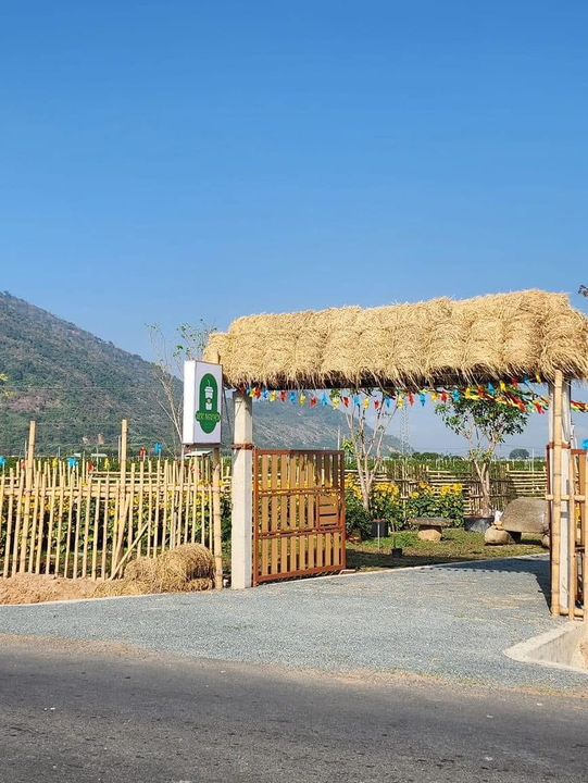 Wish Coffee in Tay Ninh