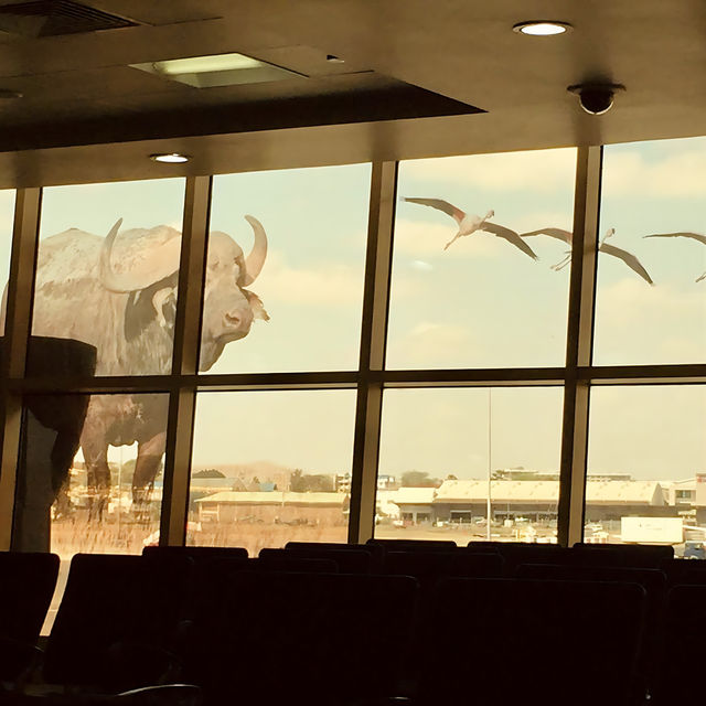 肯亞｜奈洛比國際機場🇰🇪