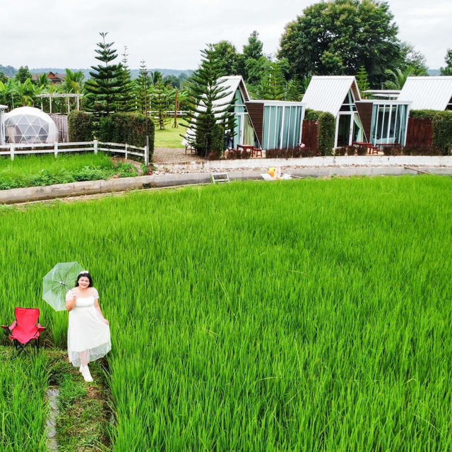 ชวนไปถ่ายรูปกลางท้องนา นอนมองวิวภูเขากัน