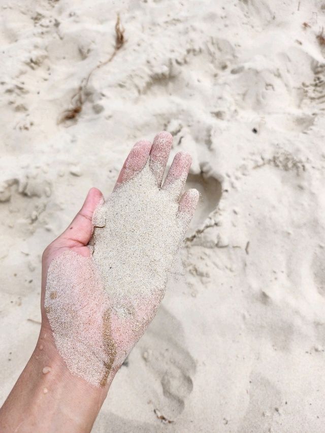 🇦🇺 Popular Beach in Byron Bay, Australia