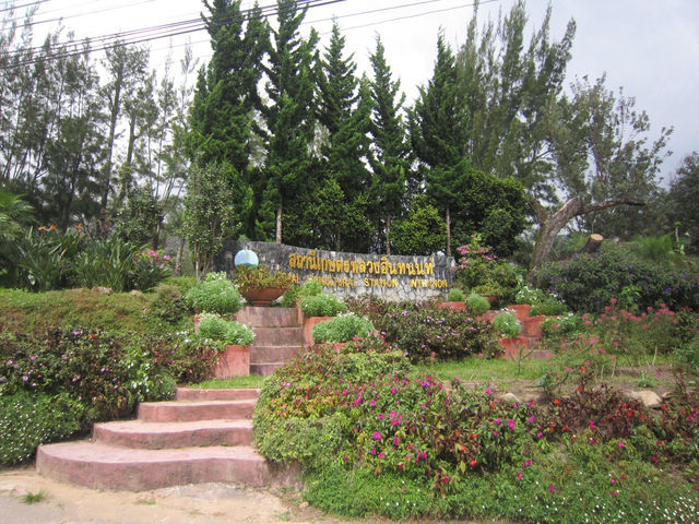 รวม 8 จุดเช็คอินสัมผัสธรรมชาติที่ดอยอินทนนท์🌳