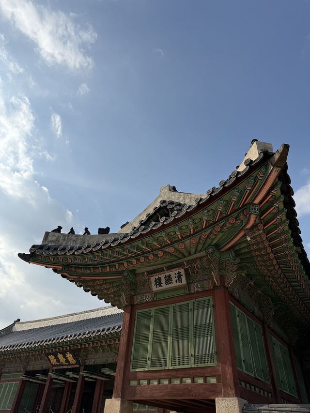 경복궁 어디부터 어떻게 돌아야하나요?!