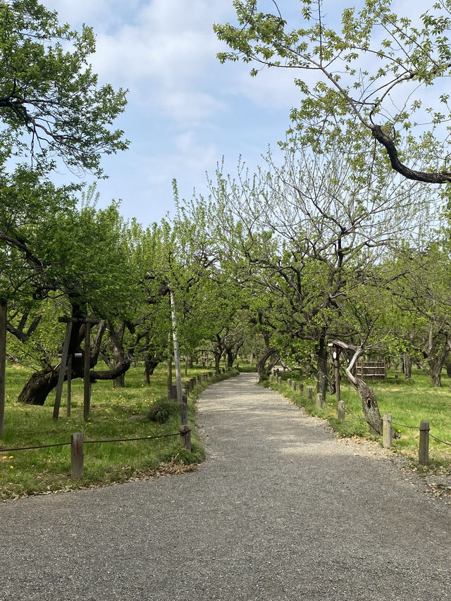 水戸市偕楽園