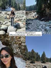 EP.3 ทริปแคชเมียร์ จะได้เป็นนักท่องเที่ยวกี่โมง 🇮🇳