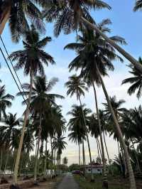 “Hidden Gem by the Sea: Guest Experiences at Amerald Resort Hotel Desaru”