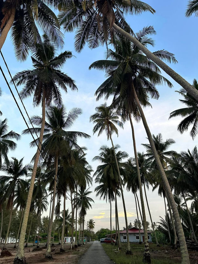 “Hidden Gem by the Sea: Guest Experiences at Amerald Resort Hotel Desaru”
