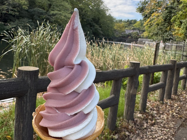 吉祥寺～東京值得花少一天好好遊玩的地方