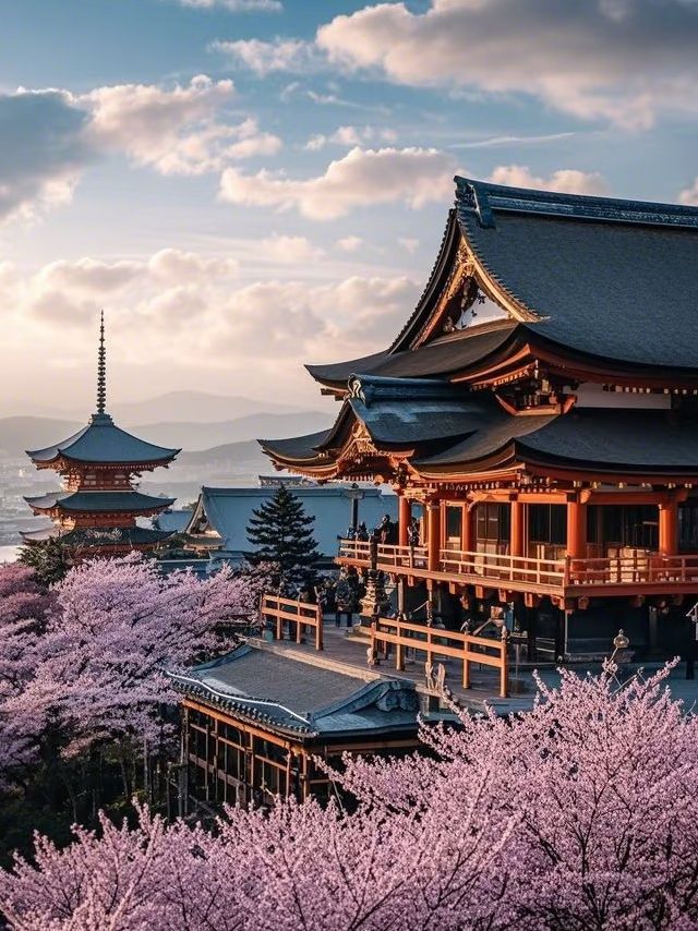 Sakura by the Sea: Enoshima’s Blossoms and Ocean Views