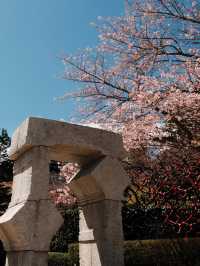 Sculptures in Bloom: Springtime at Hakone Open-Air Museum