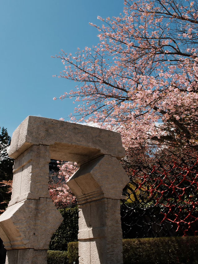 Sculptures in Bloom: Springtime at Hakone Open-Air Museum