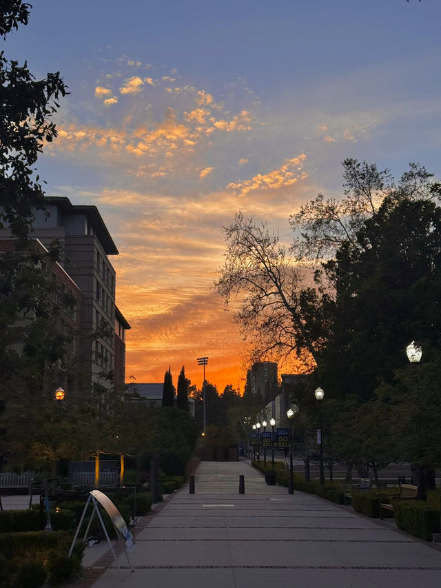 🌅 LA 선셋 명소, 석양의 낭만을 잡다! #LA여행