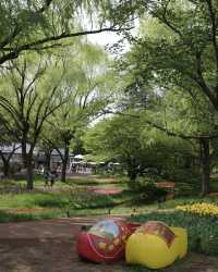 【東京】立川駅から行ける、まるでオランダのような公園🌷