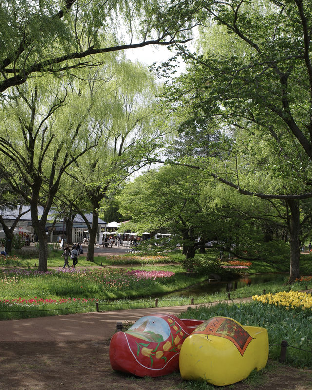 【東京】立川駅から行ける、まるでオランダのような公園🌷
